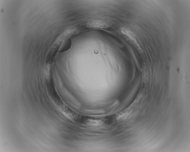 X0000088600167200706081402