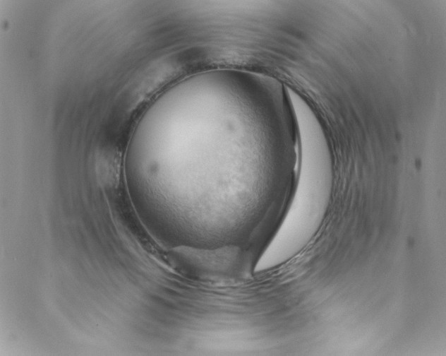 X0000088600168200706081402