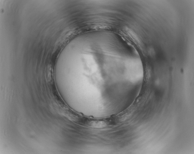 X0000088600169200706081402