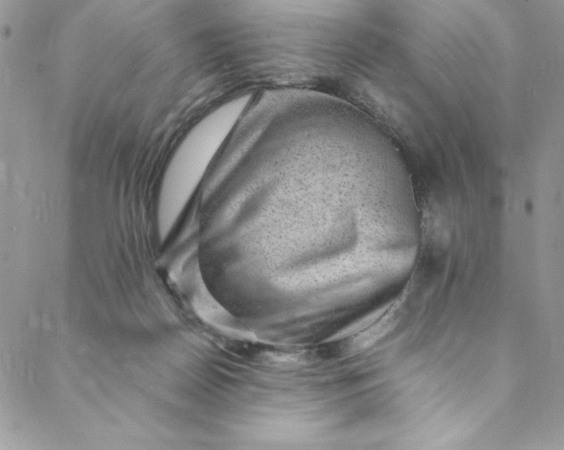 X0000088600170200706081402