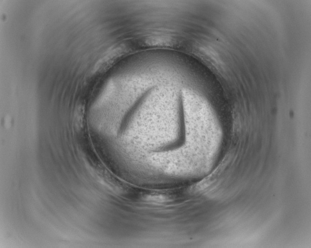 X0000088600171200706081402