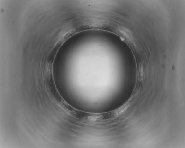 X0000088600172200706081402