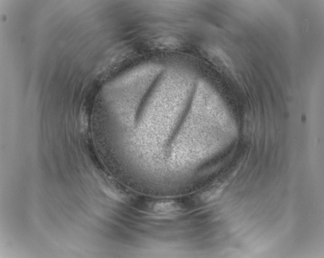 X0000088600173200706081402