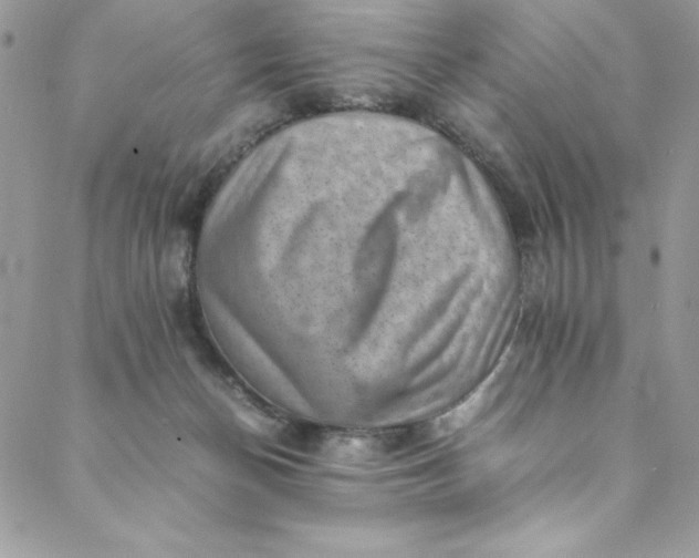 X0000088600174200706081402