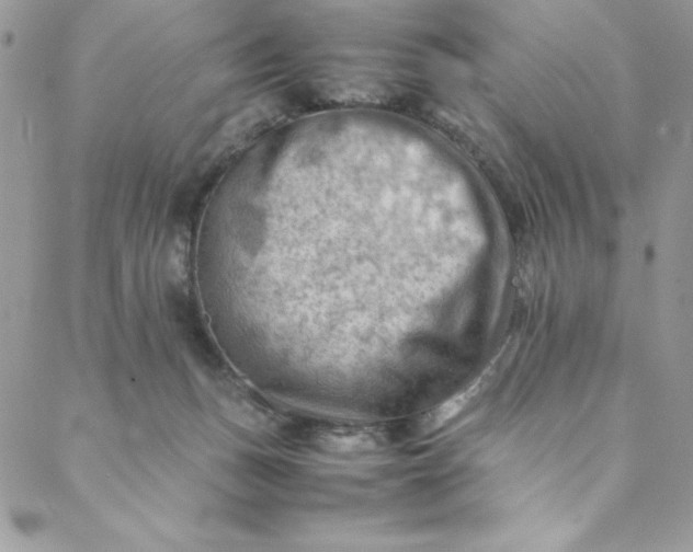 X0000088600175200706081402