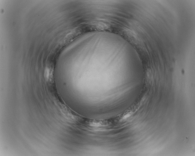 X0000088600177200706081402