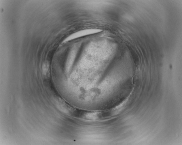 X0000088600178200706081402