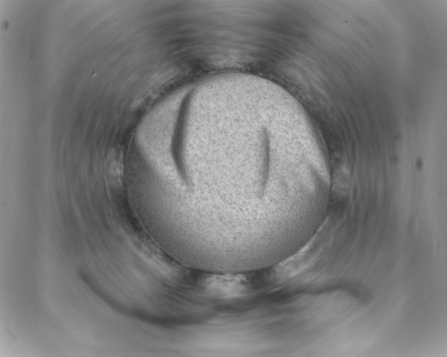 X0000088600179200706081402