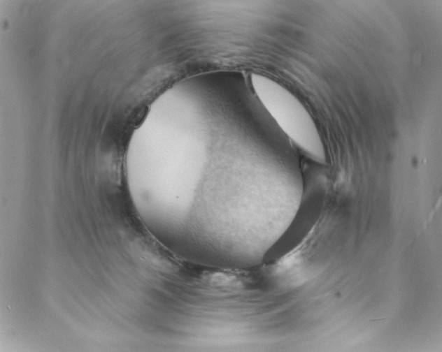 X0000088600180200706081402