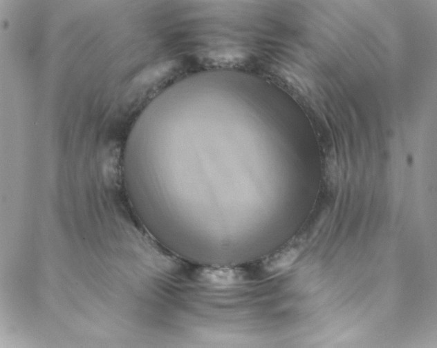 X0000088600181200706081402