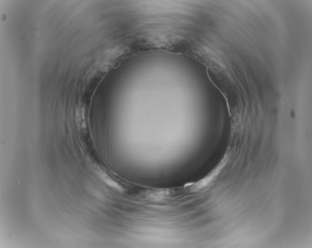 X0000088600182200706081402