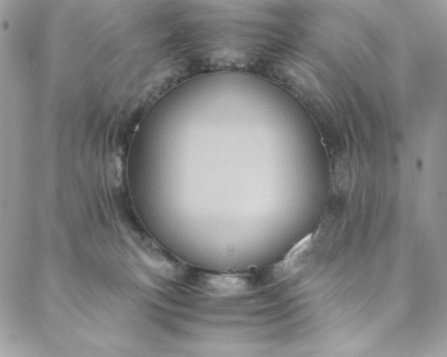 X0000088600183200706081402