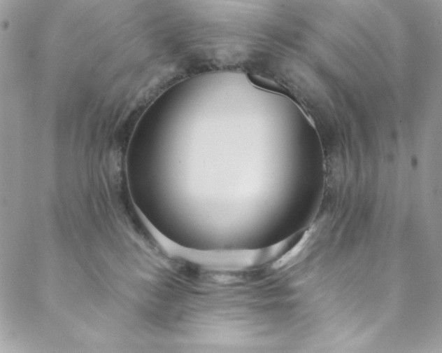 X0000088600184200706081402