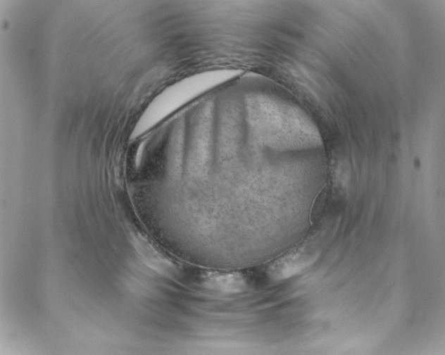 X0000088600185200706081402