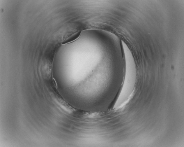 X0000088600186200706081402