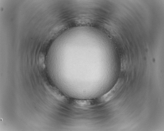 X0000088600187200706081402