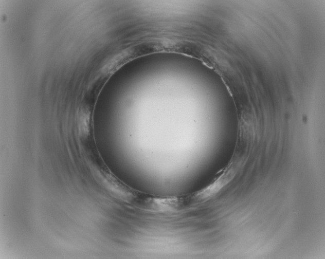 X0000088600188200706081402