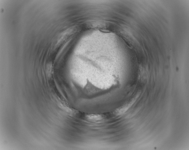 X0000088600189200706081402