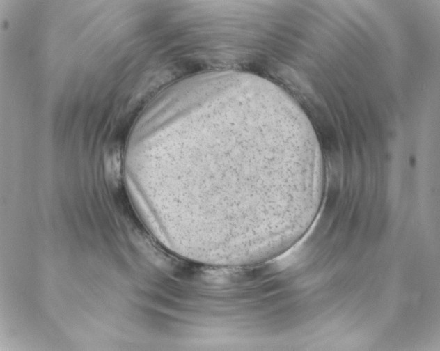 X0000088600190200706081402