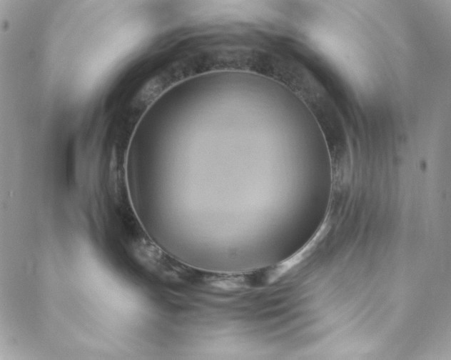 X0000088600191200706081402