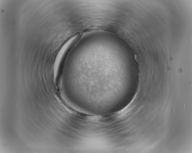 X0000088600192200706081402