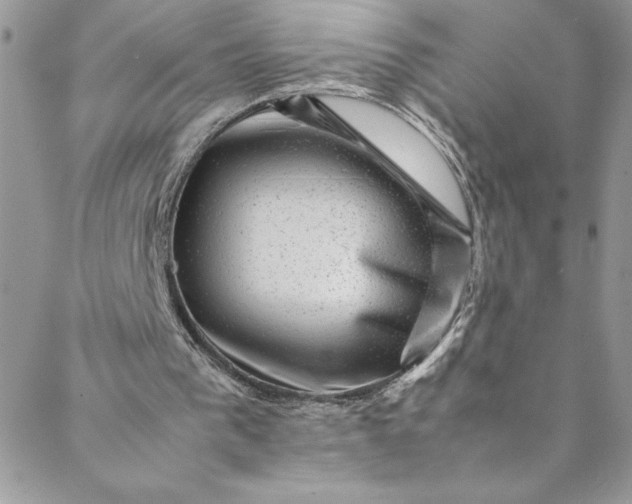 X0000088600193200706081401