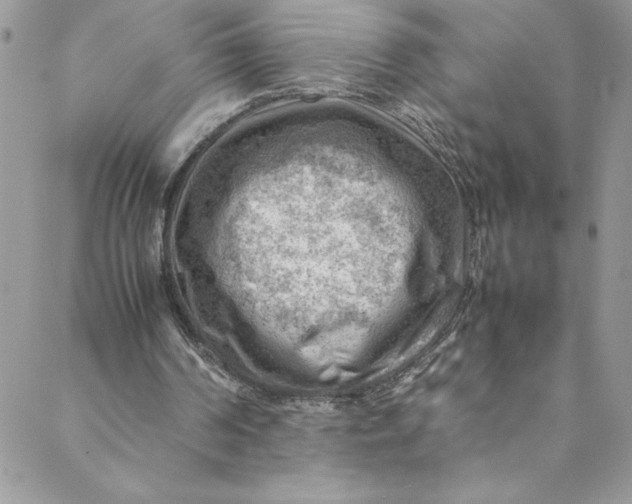 X0000088600194200706081401