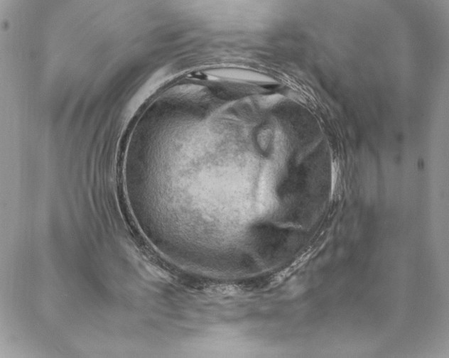 X0000088600195200706081401