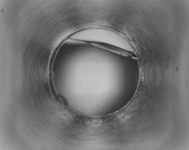 X0000088600196200706081401