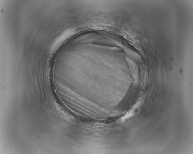 X0000088600197200706081401