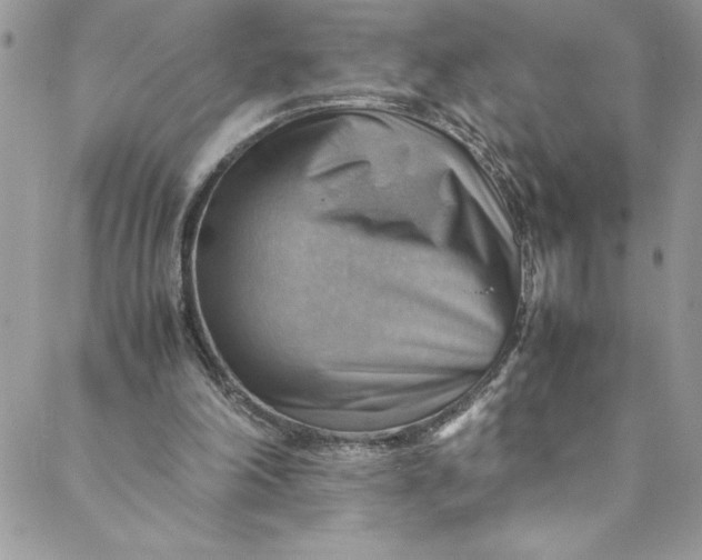 X0000088600198200706081401