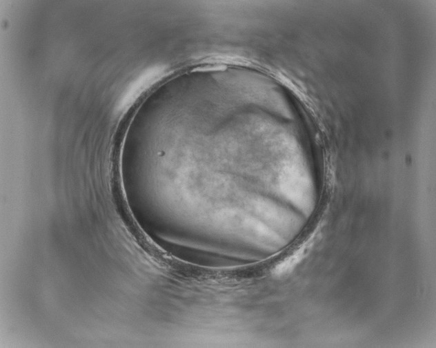 X0000088600199200706081401