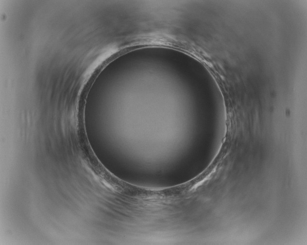 X0000088600200200706081401