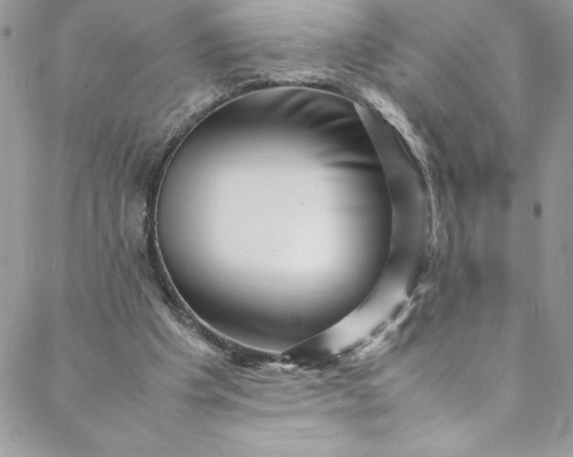 X0000088600201200706081401