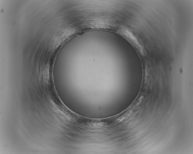 X0000088600202200706081401