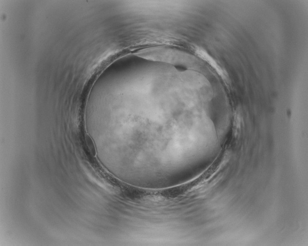 X0000088600203200706081401