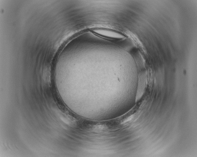 X0000088600204200706081401