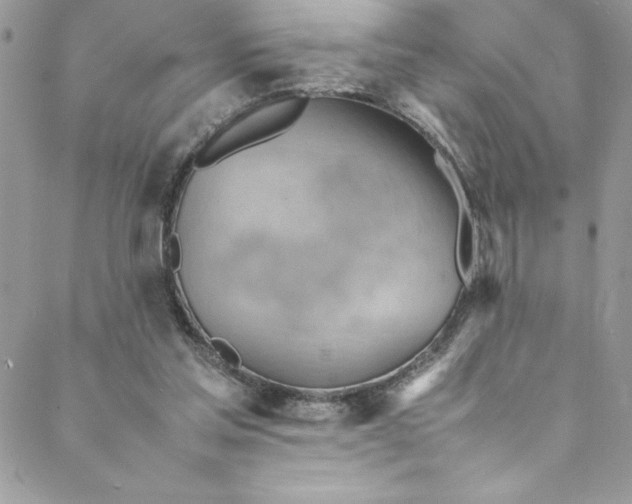 X0000088600205200706081401