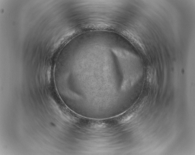 X0000088600206200706081401