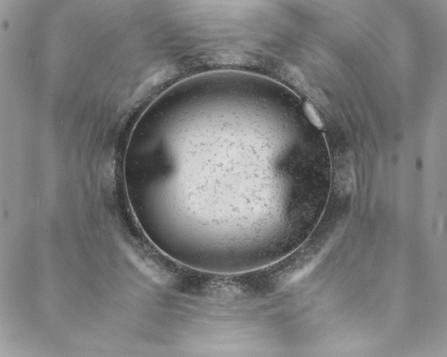 X0000088600207200706081401