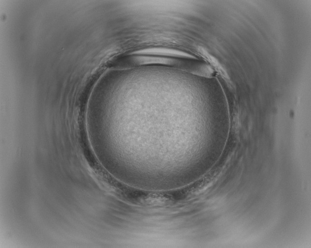 X0000088600209200706081401