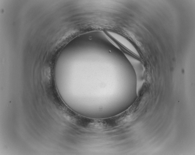 X0000088600211200706081401