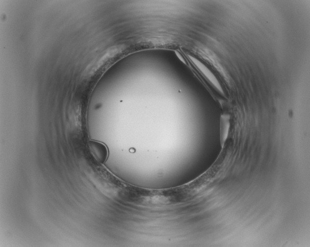 X0000088600212200706081401