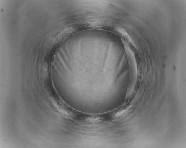 X0000088600213200706081401