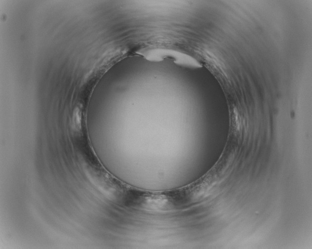 X0000088600214200706081401