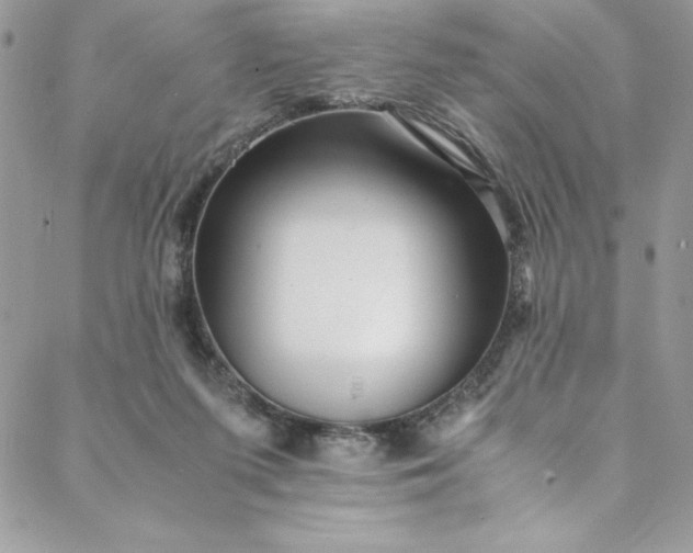 X0000088600215200706081401