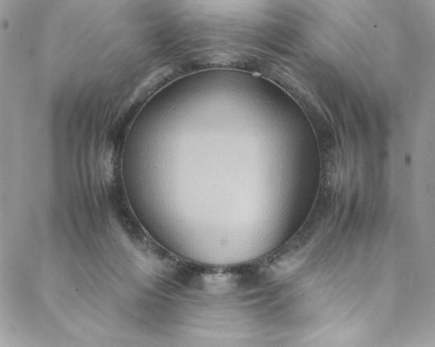 X0000088600216200706081401