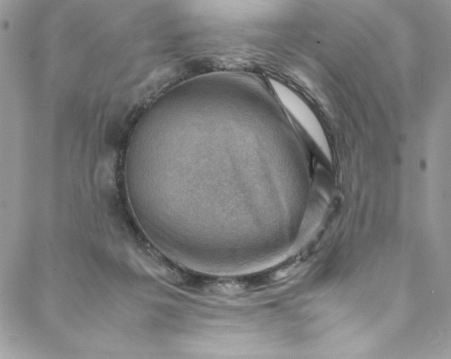 X0000088600217200706081401