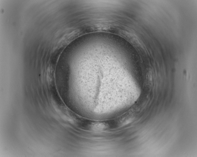 X0000088600218200706081401