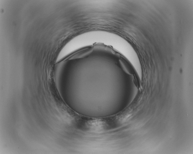 X0000088600219200706081401